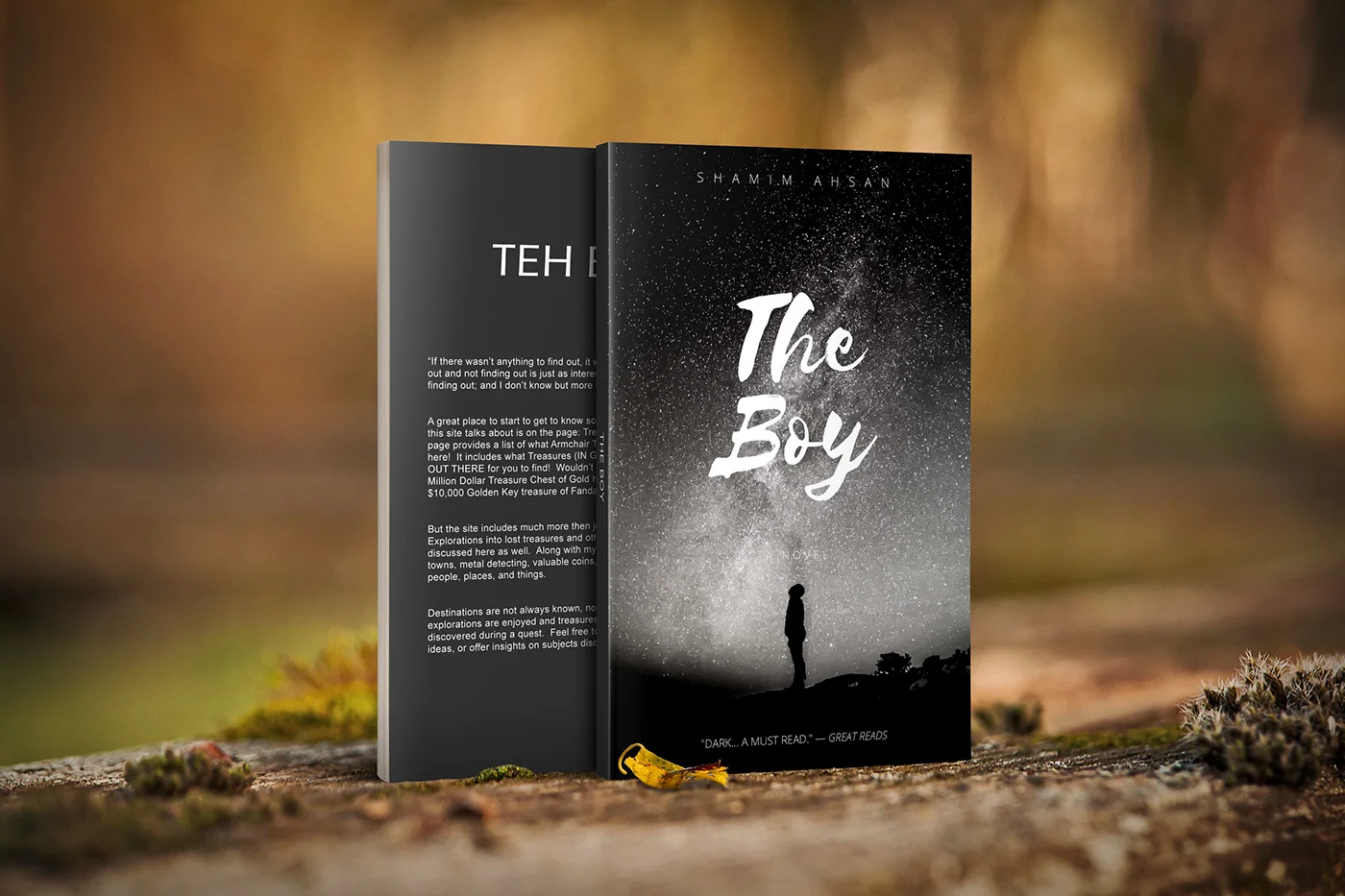 book illustrations